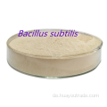 Bacillus subtilis unlösliches Wasser 700cfu/g Futtermittelzusatz